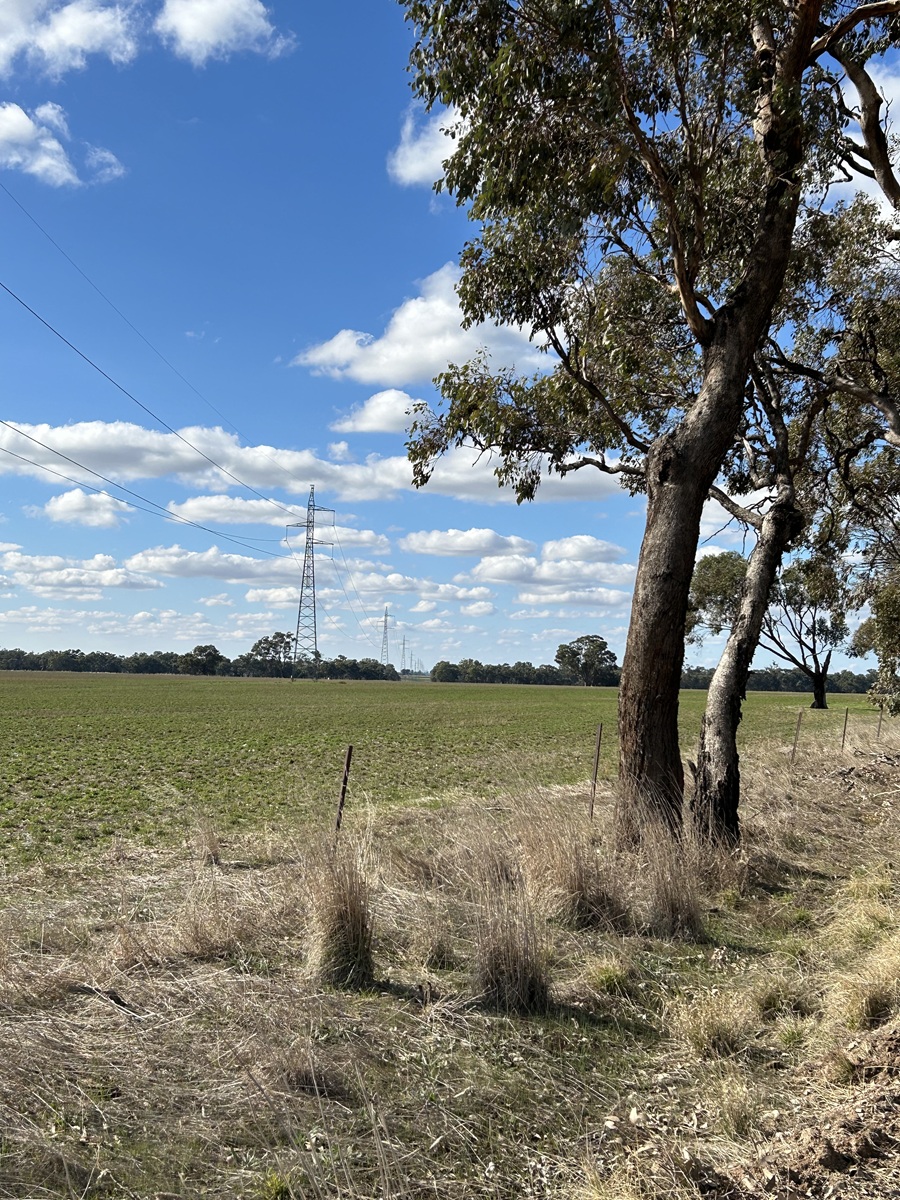 Axedale Solar Farm location